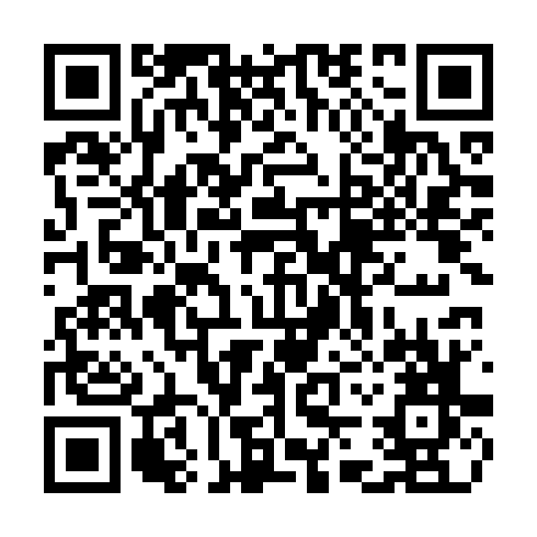 QR code for TDI 009