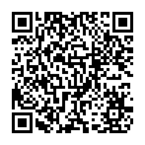 QR code for TDI 029