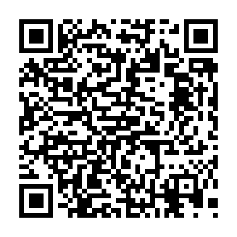 QR code for TDI 369