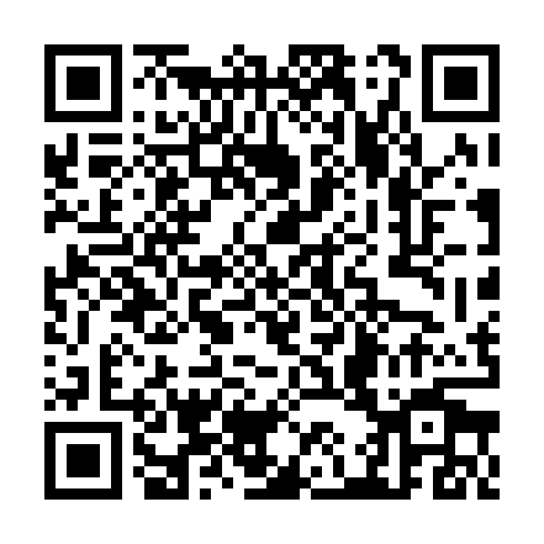 QR code for TDI 387