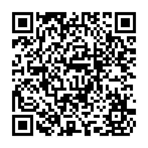 QR code for TDI 593