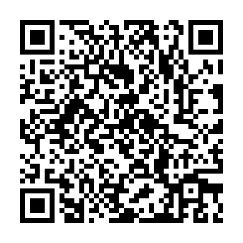 QR code for plate TDI 020