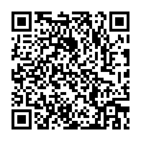 QR code for plate TDI 336