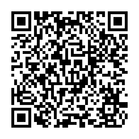 QR code for TDL384