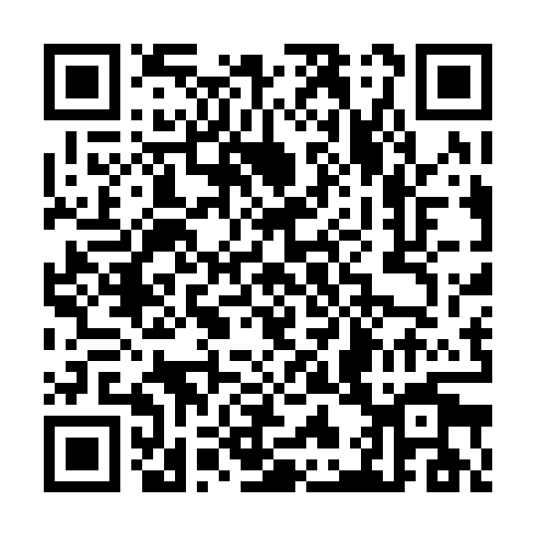 QR code for TDM 013