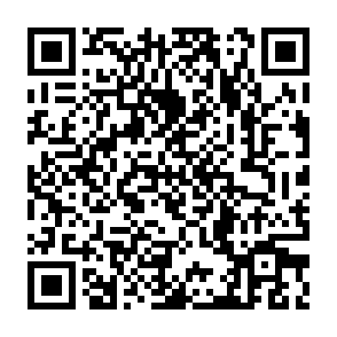 QR code for TDM 323