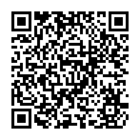 QR code for TDM 341