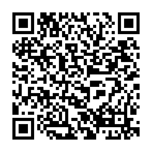 QR code for plate TDM 607