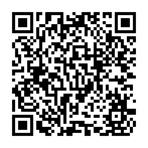 QR code for TDM995