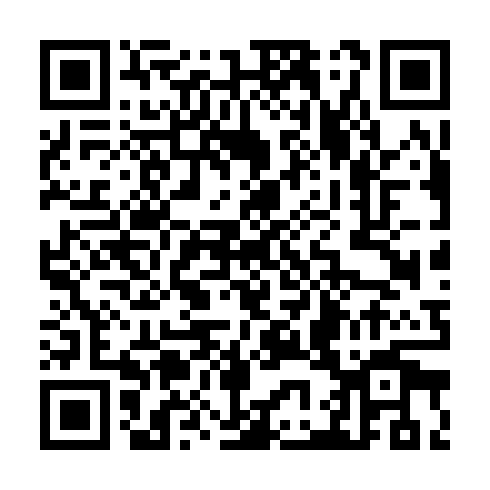 QR code for TDT379