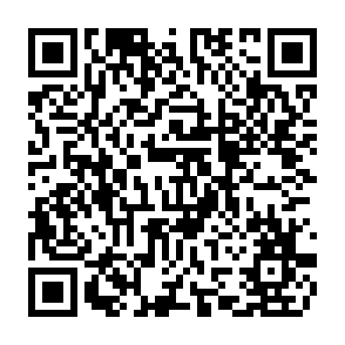 QR code for plate TDT 613