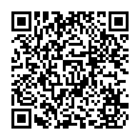 QR code for TDU 041
