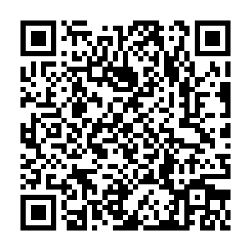 QR code for TDU 289