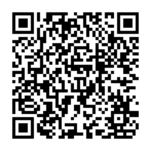QR code for TDV 335
