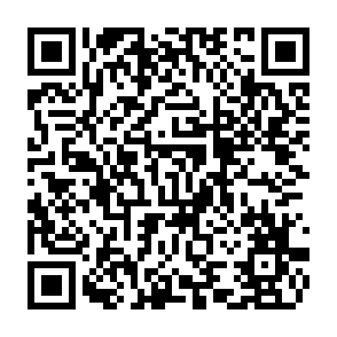 QR code for TDV 387
