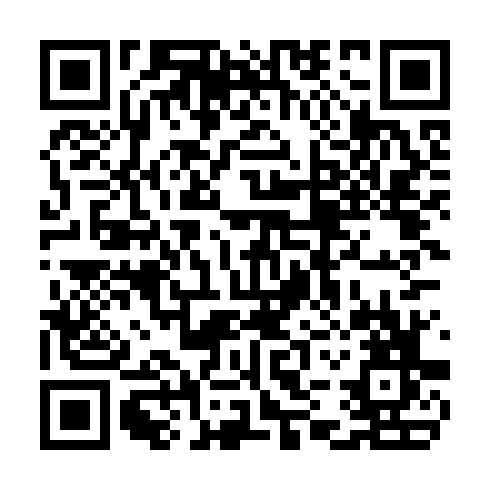 QR code for TDV 533