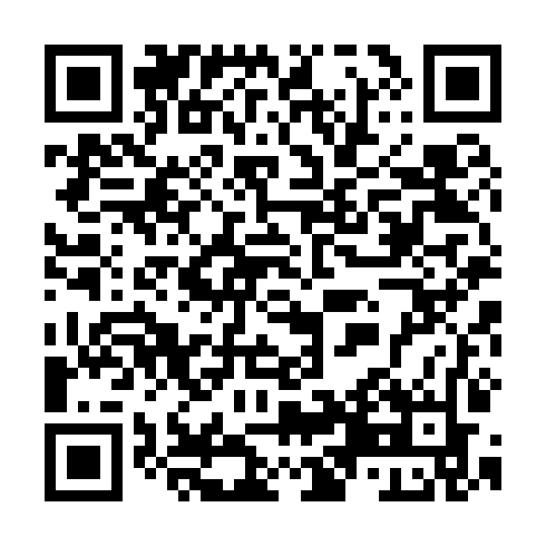 QR code for TDX384