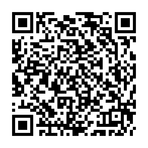 QR code for TDY 295