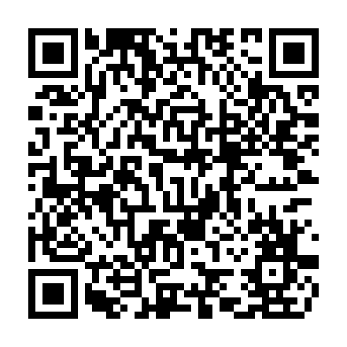 QR code for TDY 919