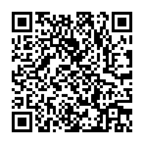 QR code for TDY 955