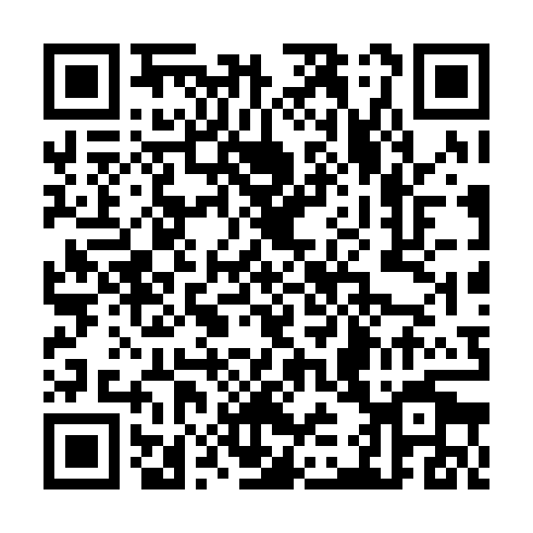 QR code for plate TDY 380