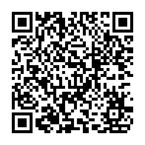 QR code for TDY538