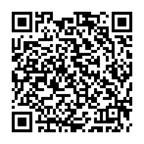 QR code for TDZ 919