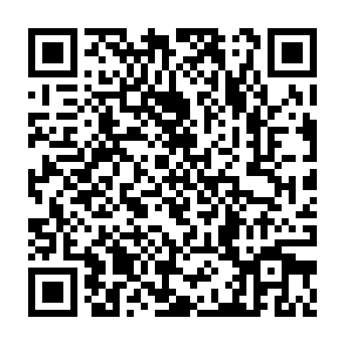 QR code for TEM 341