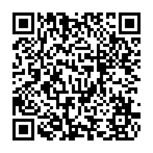 QR code for TEM386