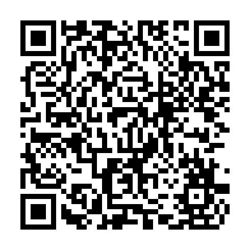 QR code for plate TEX 295