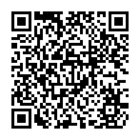 QR code for plate TFS 041