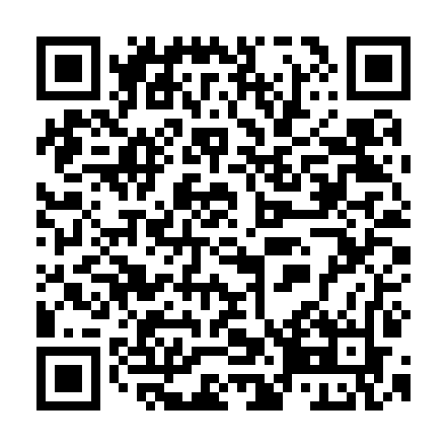 QR code for TGO 991