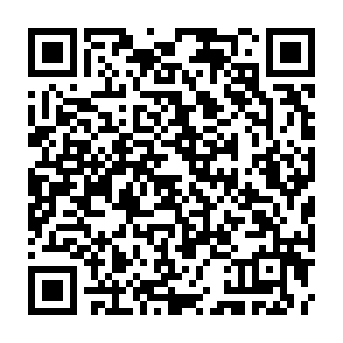 QR code for THD 919