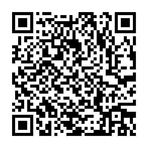 QR code for THL 919