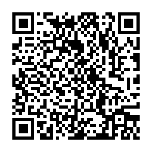 QR code for THZ386