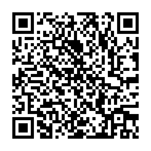 QR code for THZ951