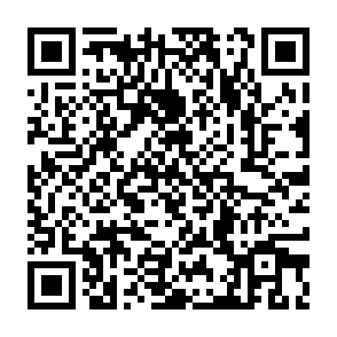 QR code for TIA 868