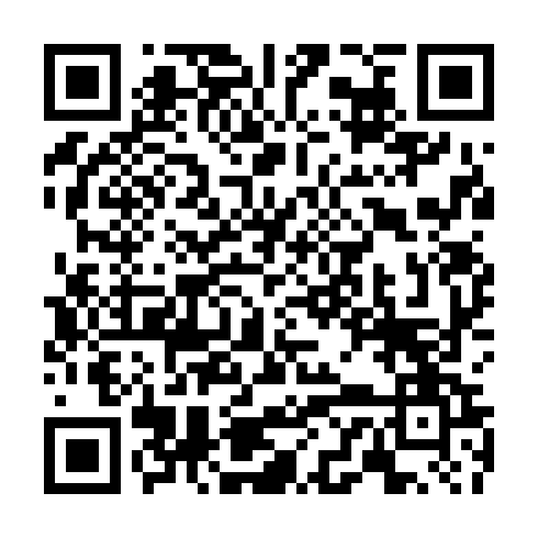 QR code for plate TIC 381