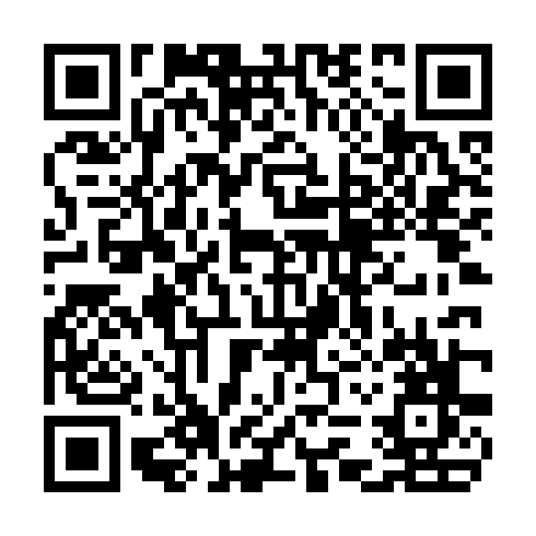 QR code for plate TIC 838