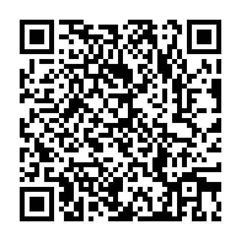 QR code for TIE 461