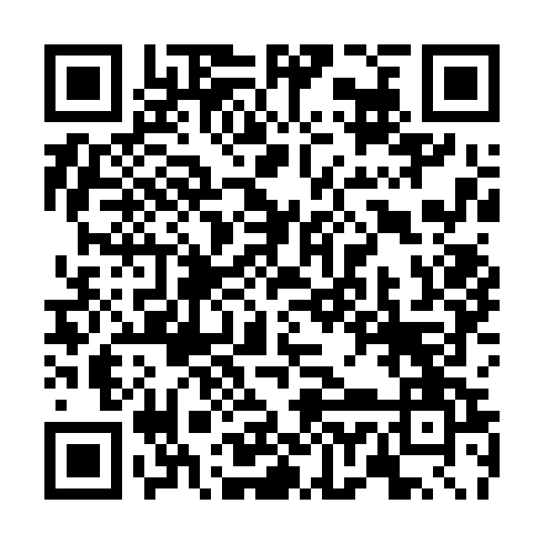 QR code for TIE 498