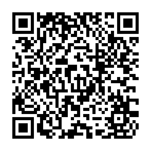 QR code for TIE495