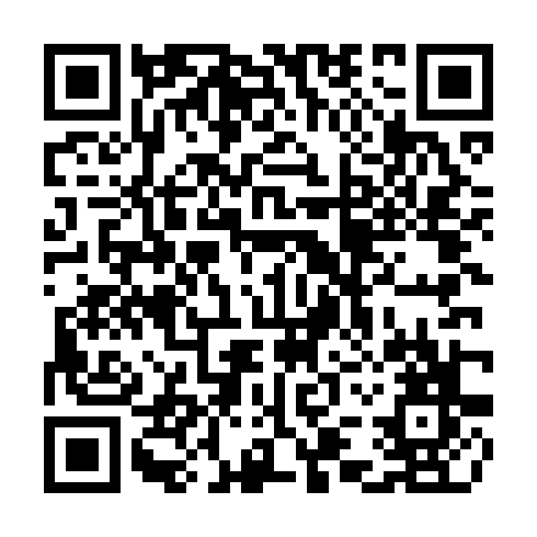 QR code for plate TIE 541