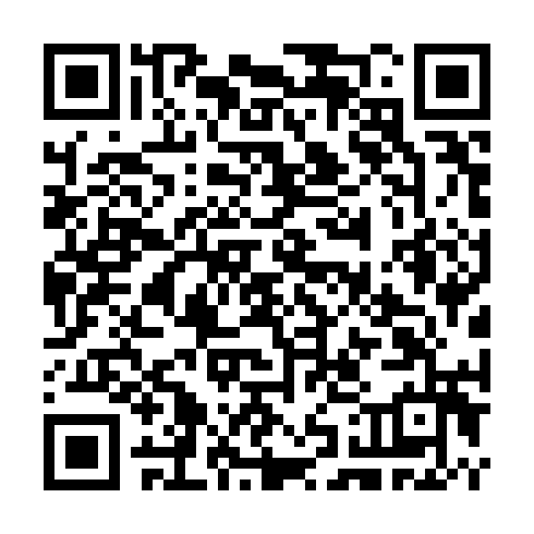 QR code for TIF 028