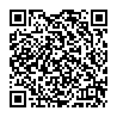 QR code for TII379