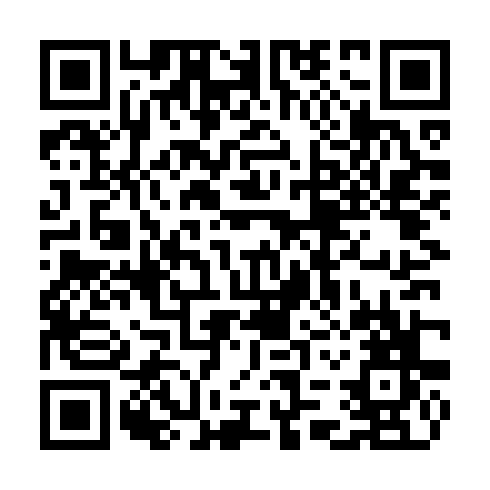 QR code for TII384