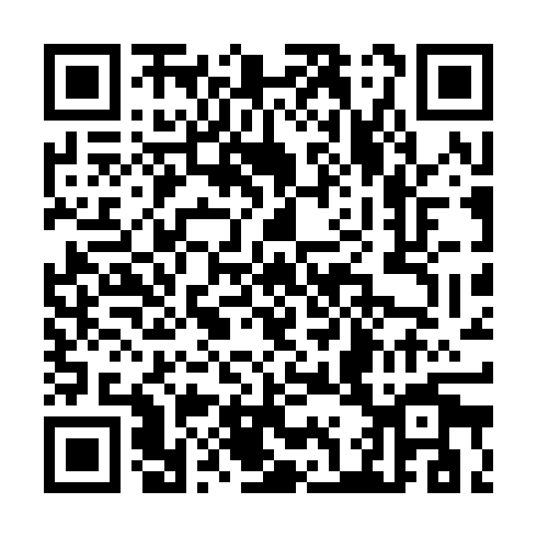 QR code for TIJ 333
