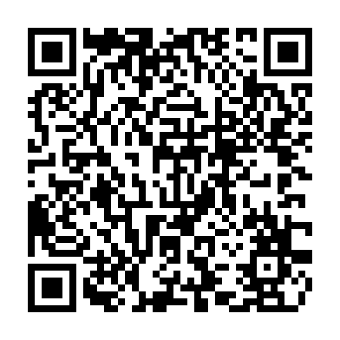 QR code for plate TIL 500