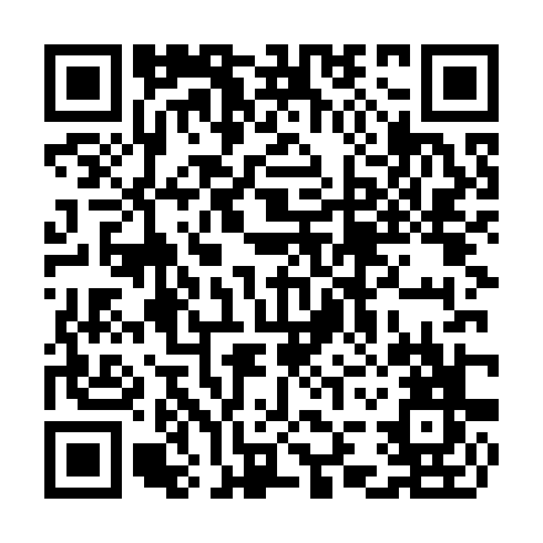 QR code for TIN 291
