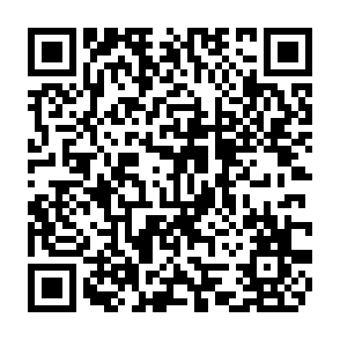 QR code for TIN 868